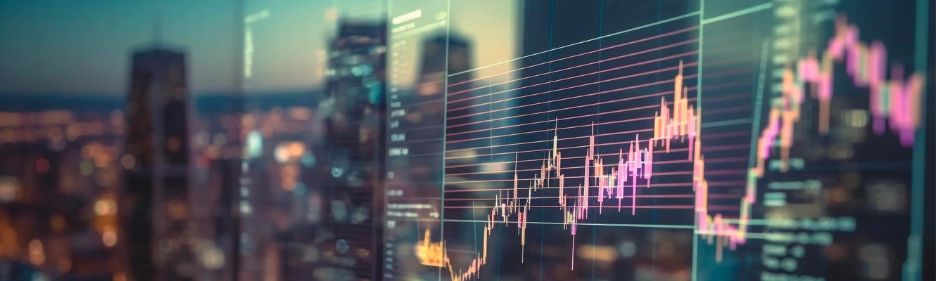Özel sektörün finansmanla imtihanı-2