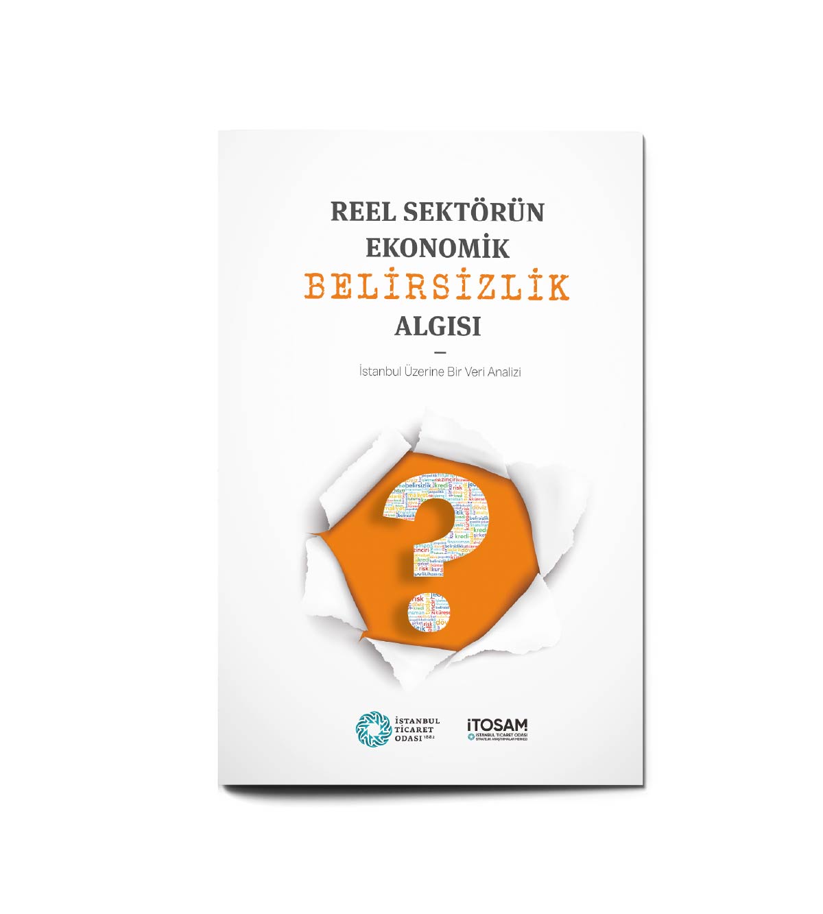 Reel Sektörün Ekonomik Belirsizlik Algısı