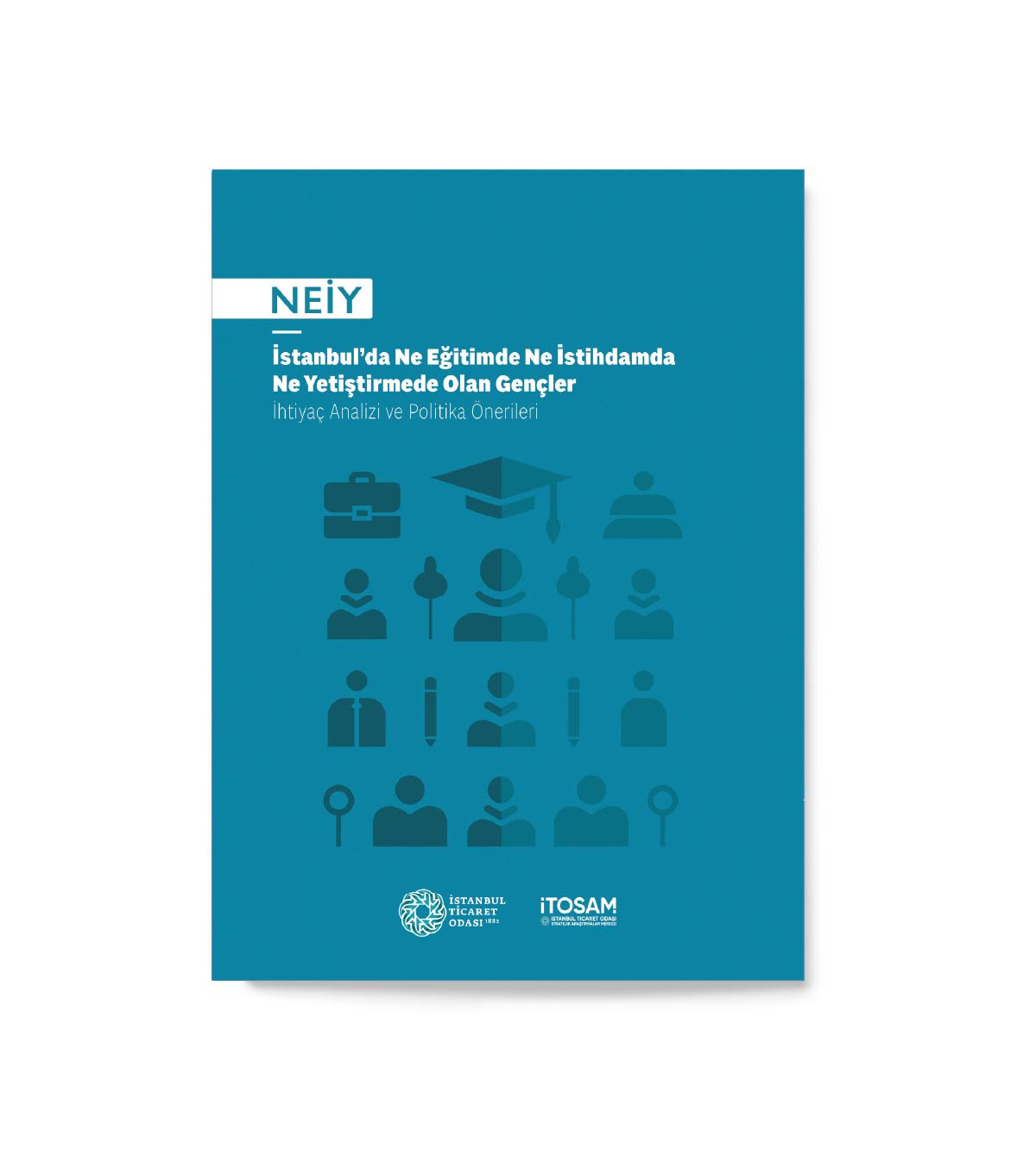 NEİY - İstanbul’da Ne Eğitimde Ne İstihdamda Ne Yetiştirmede Olan Gençler: İhtiyaç Analizi ve Politika Önerileri