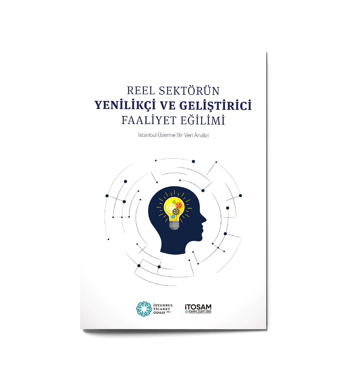  Reel Sektörün Yenilikçi ve Geliştirici Faaliyet Eğilimi