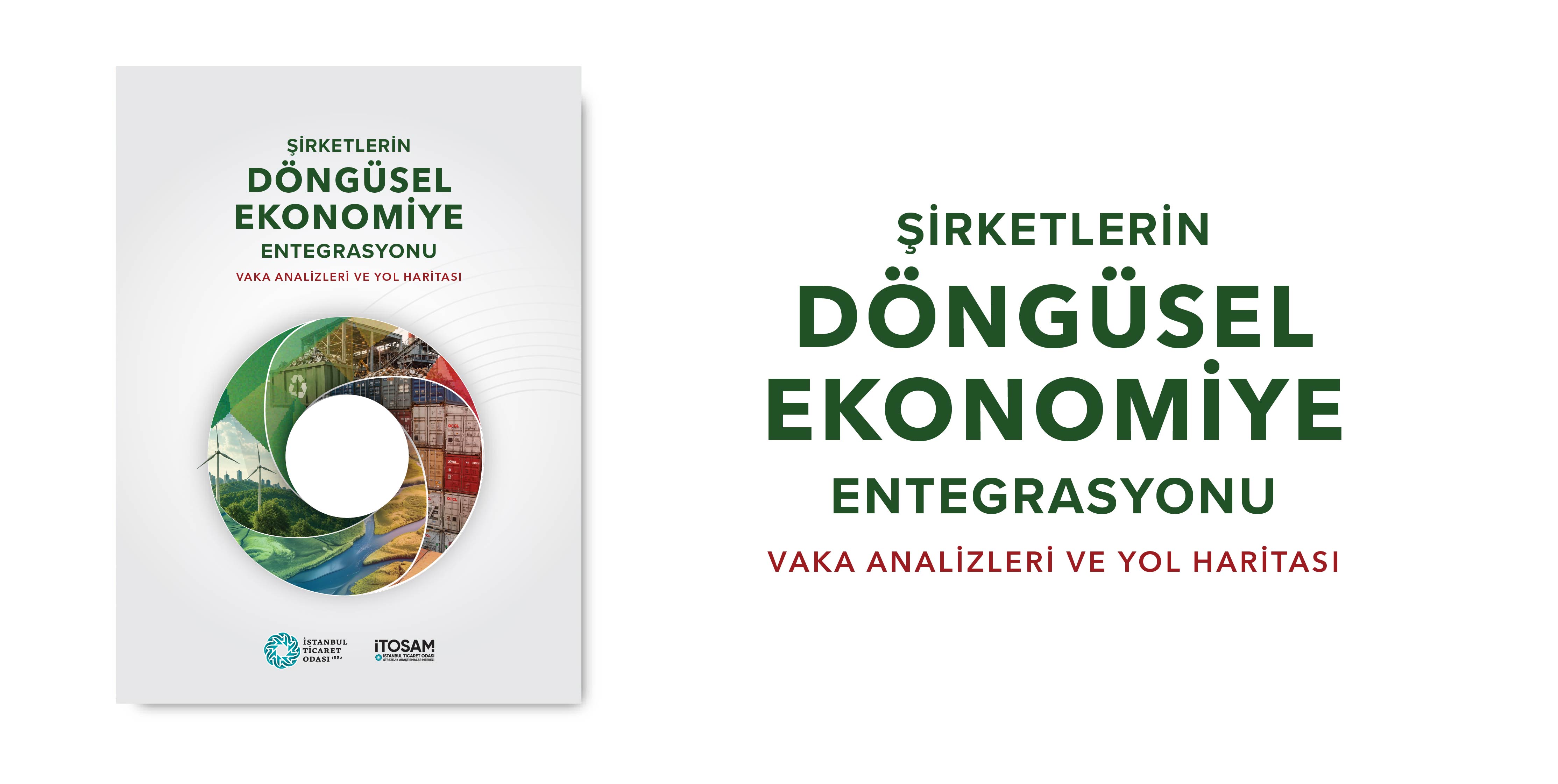Şirketlerin Döngüsel Ekonomiye Entegrasyonu Vaka Analizleri Ve Yol Haritası